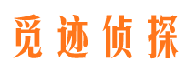 雁江外遇调查取证